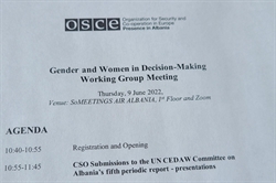[ai] A printed agenda for the 'Gender and Women in Decision-Making Working Group Meeting' by OSCE, dated June 9, 2022. The agenda outlines a registration and opening period, and a segment for CSO submissions to the UN CEDAW Committee.
